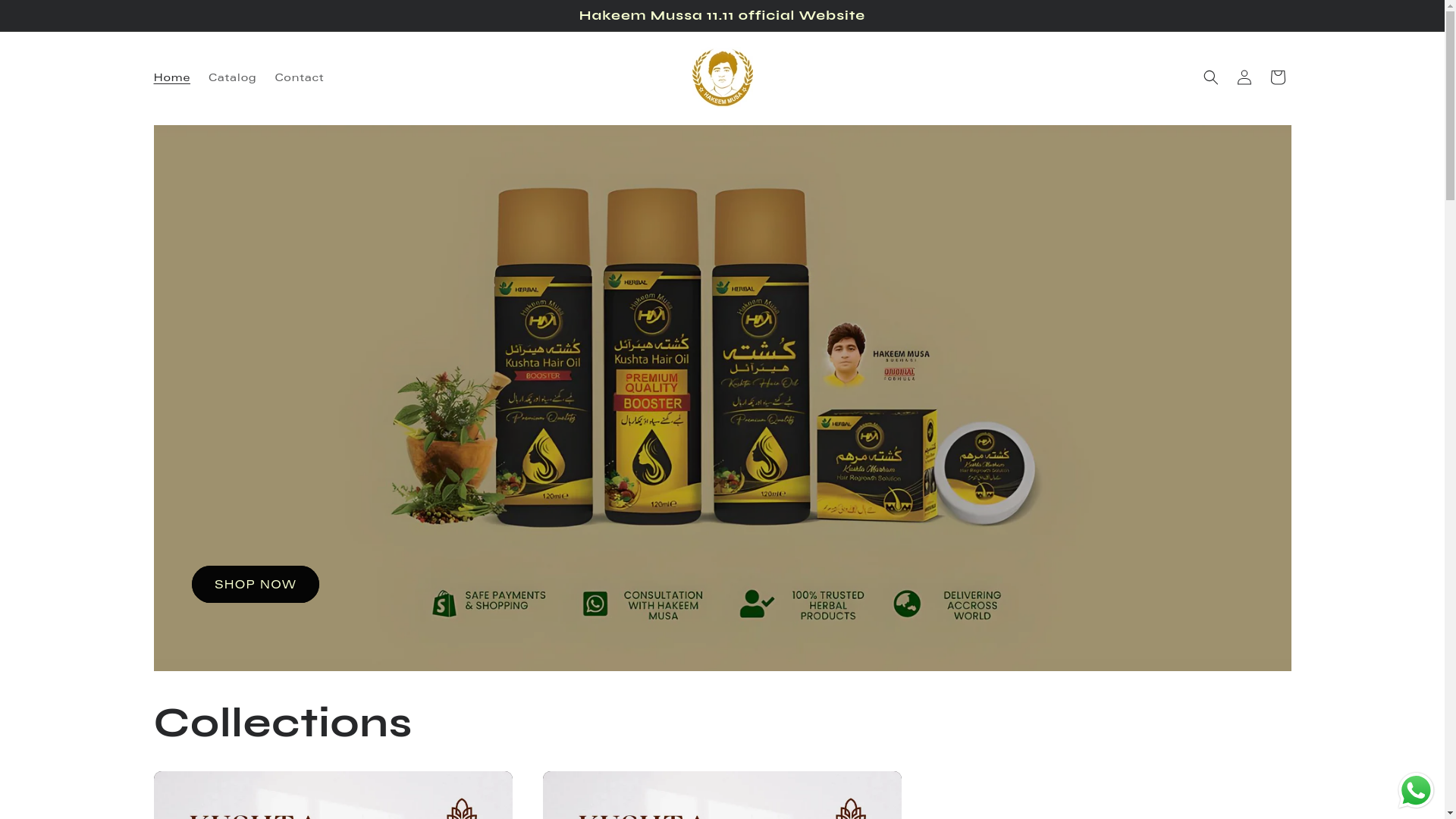 website screenshot of https://hakemmussa1111.store/