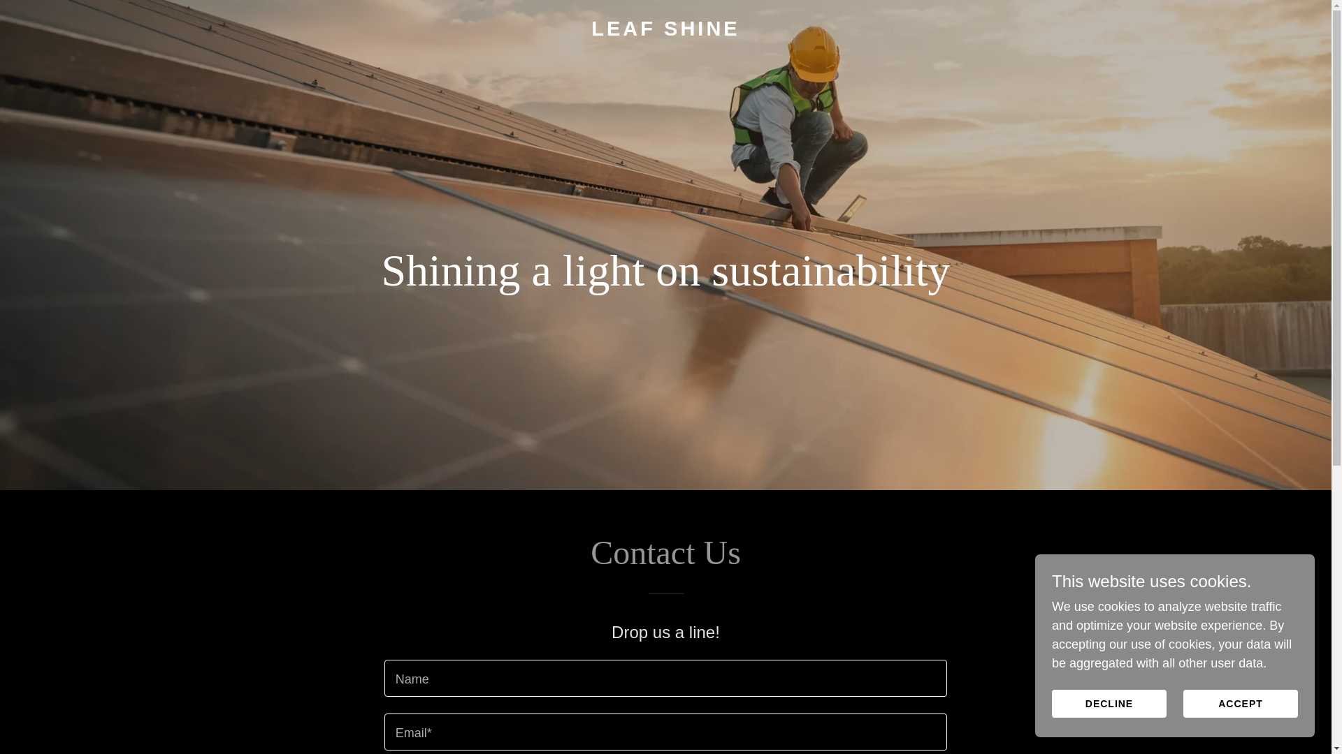 website screenshot of https://leafshine.co/