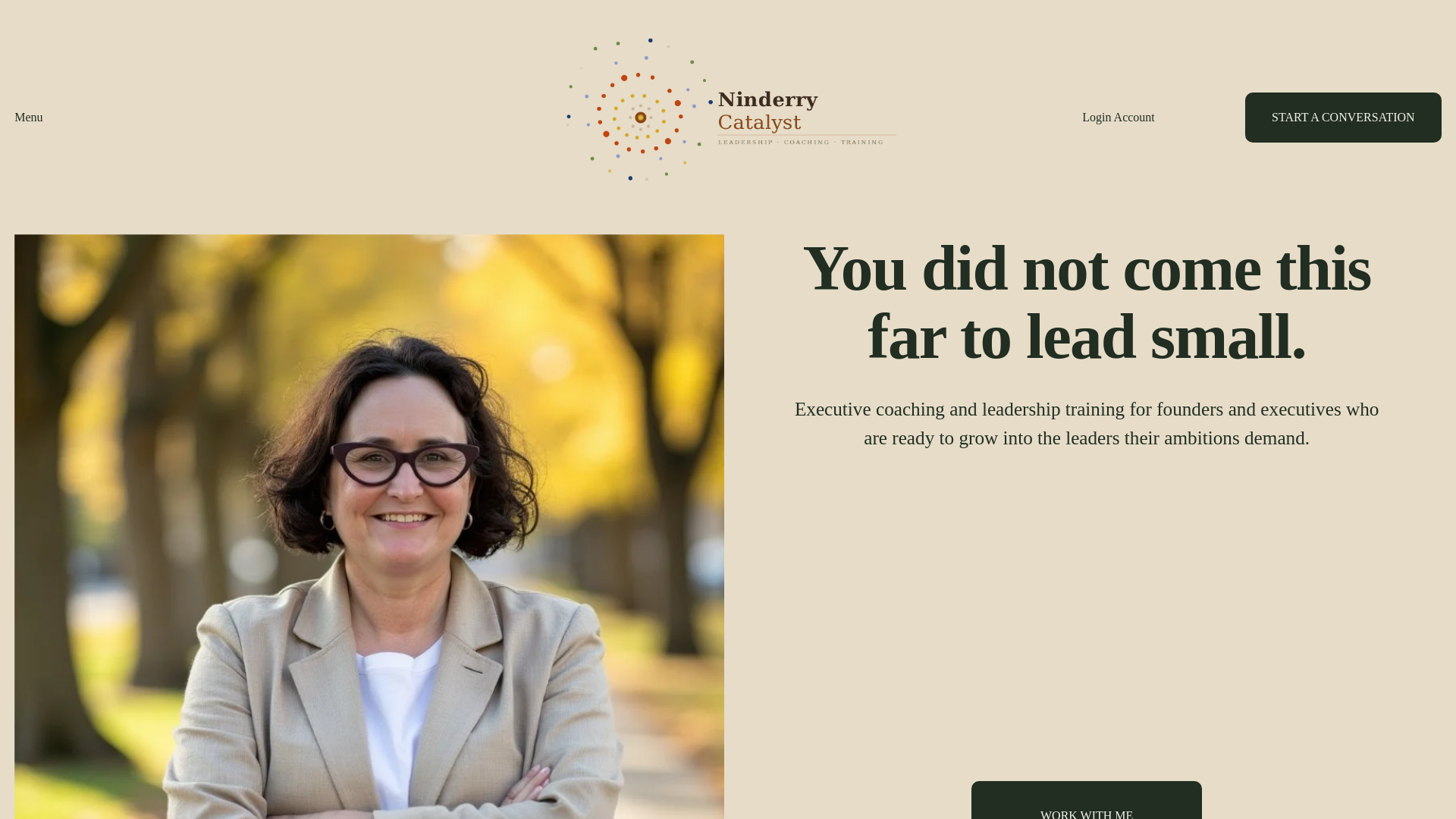 website screenshot of https://ninderrycatalyst.com/