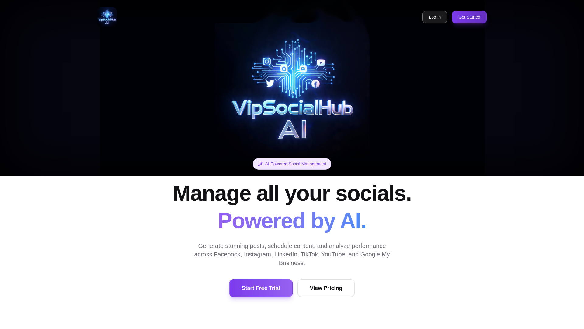 website screenshot of https://vipsocialhubai.com/