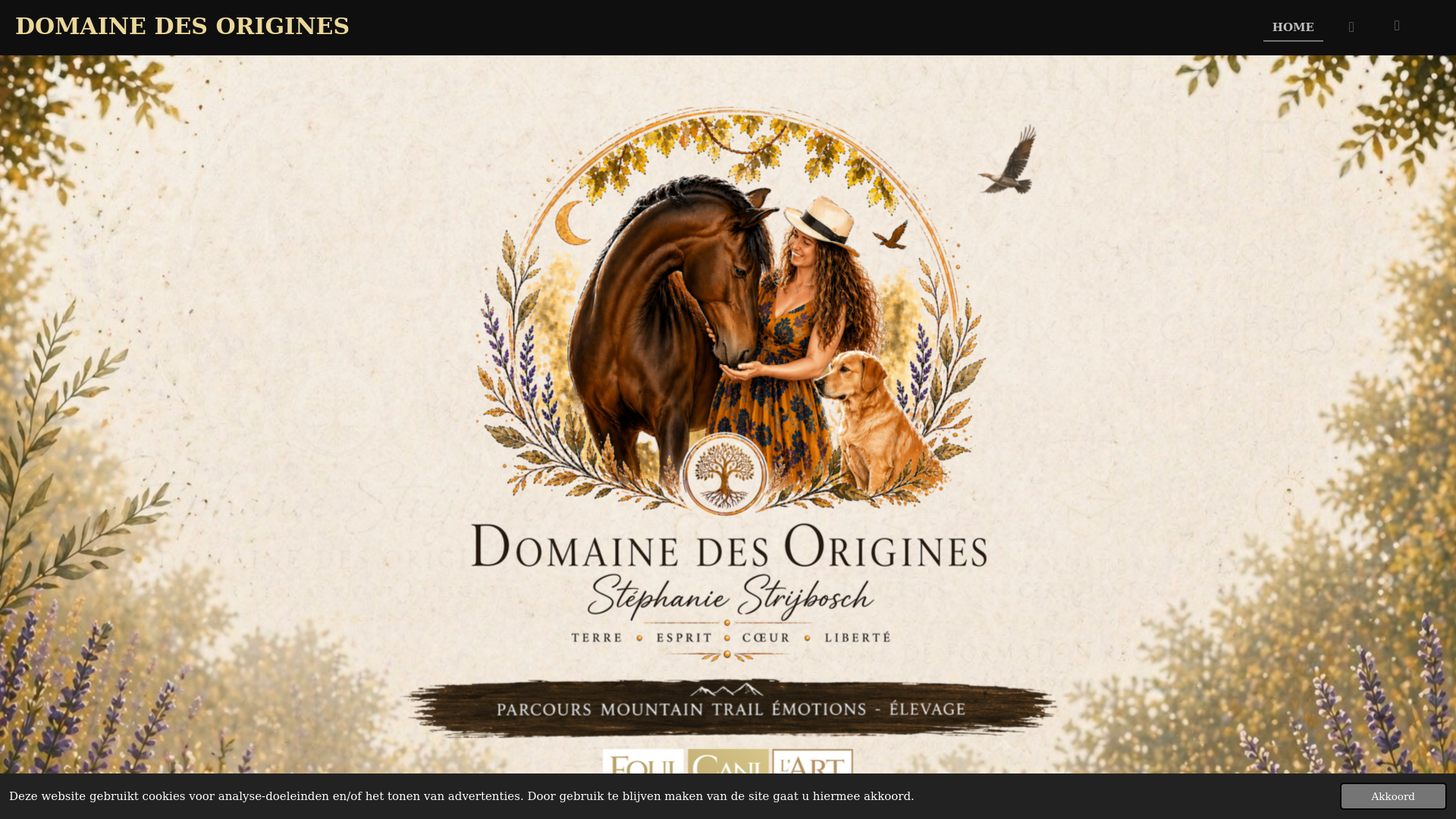 website screenshot of https://domainedesorigines.com/