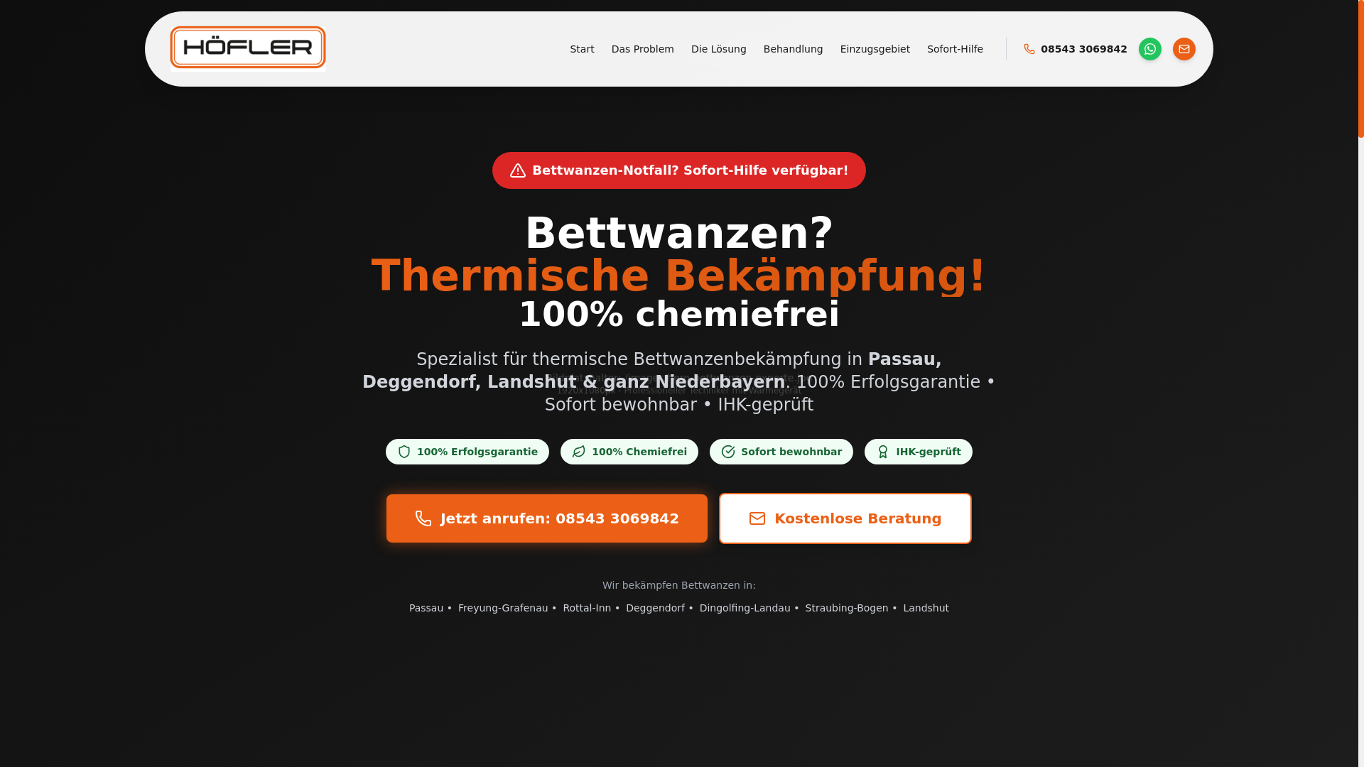 website screenshot of https://bettwanzen-experte.pages.dev/