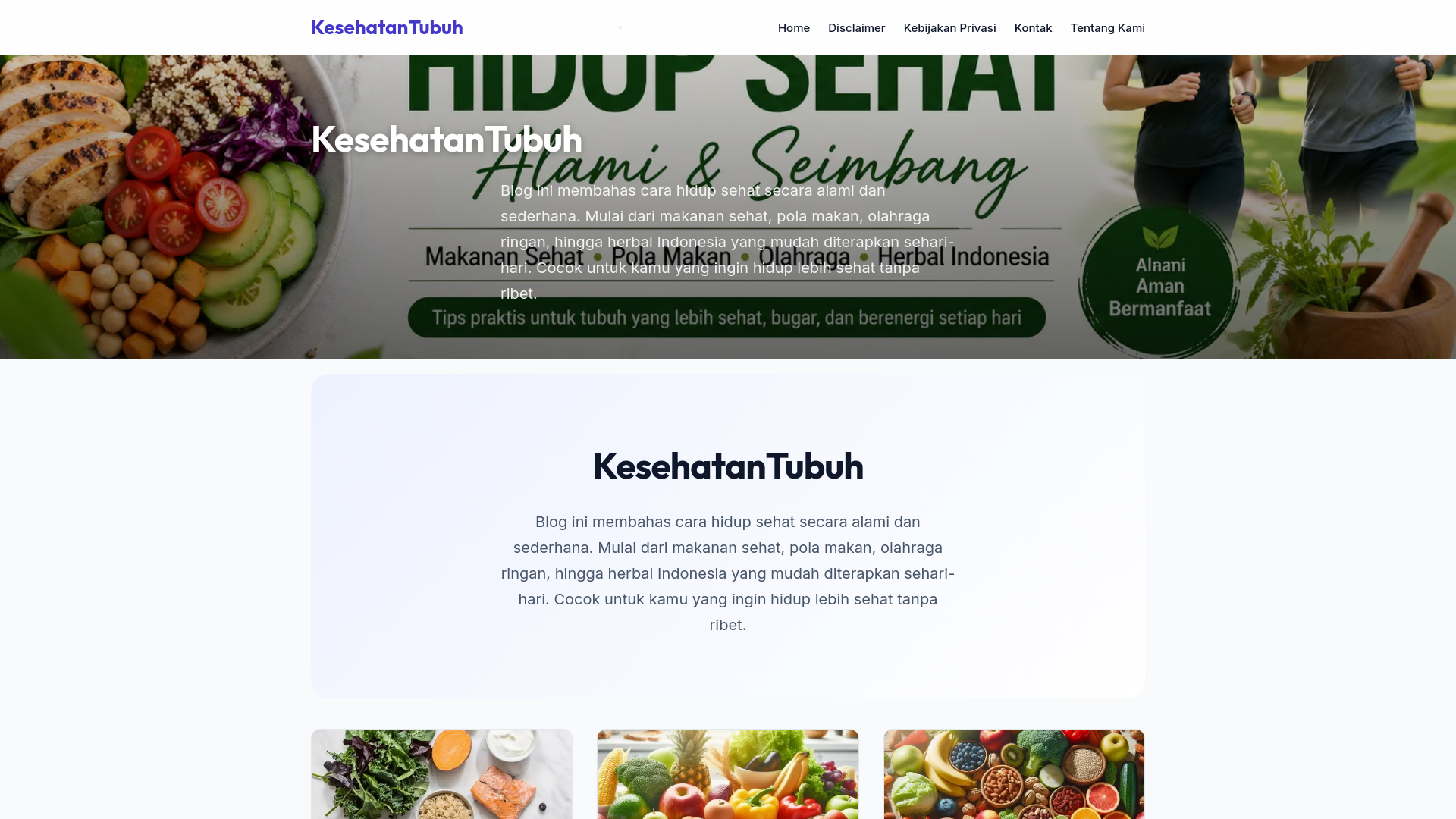 website screenshot of https://virtualbasis.net/
