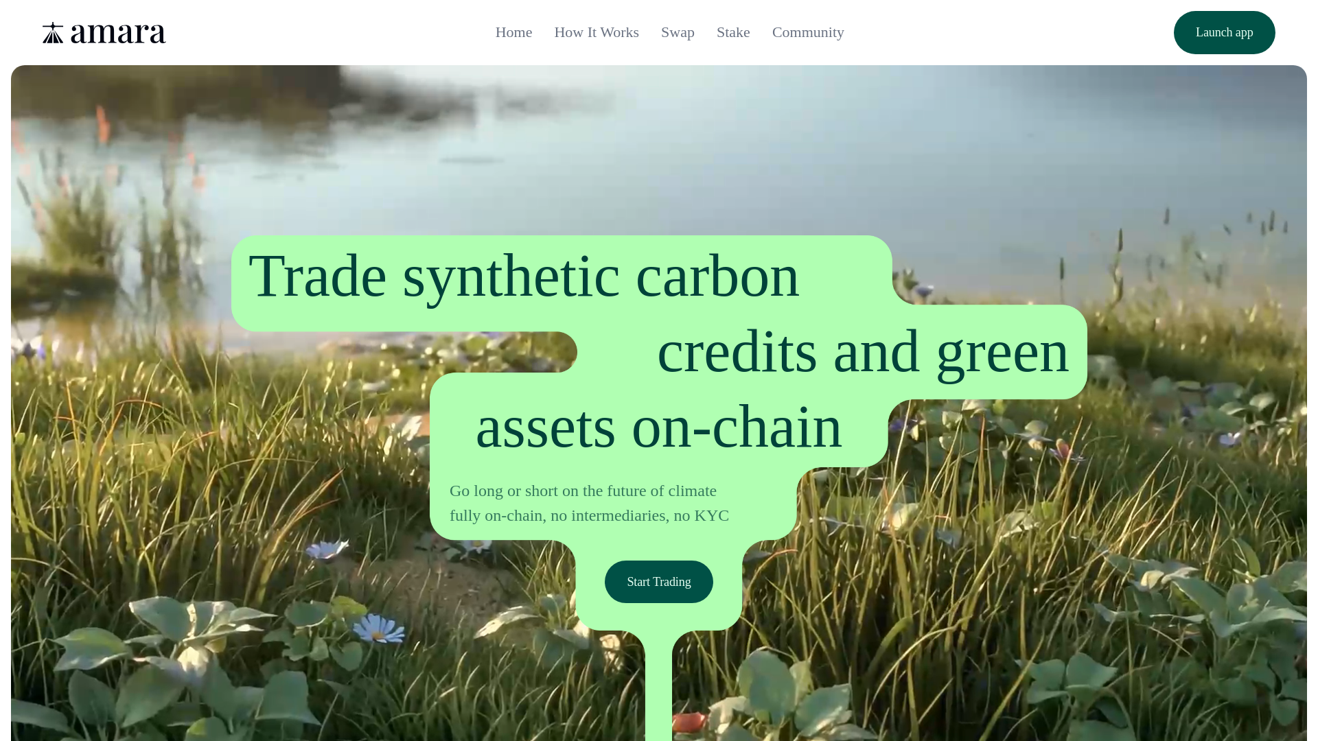 website screenshot of https://amara-m.pages.dev/