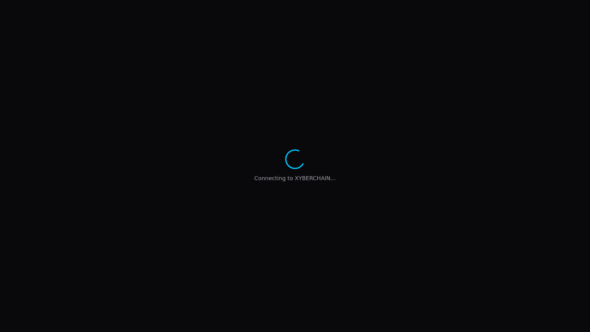 website screenshot of https://xyberchainexplorer.xyz/