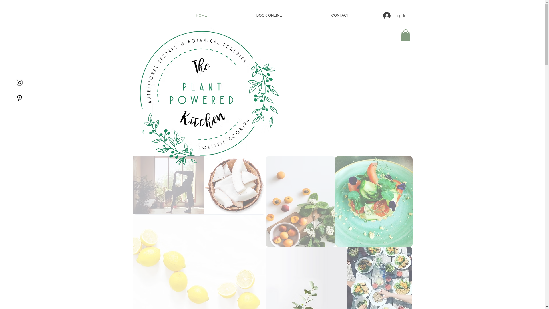 website screenshot of https://plantpoweredalchemy.com/