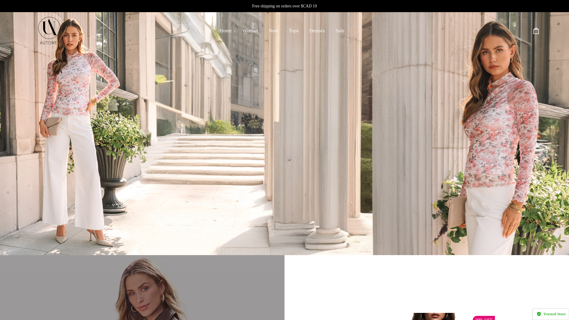 website screenshot of https://the-autometca.shop/
