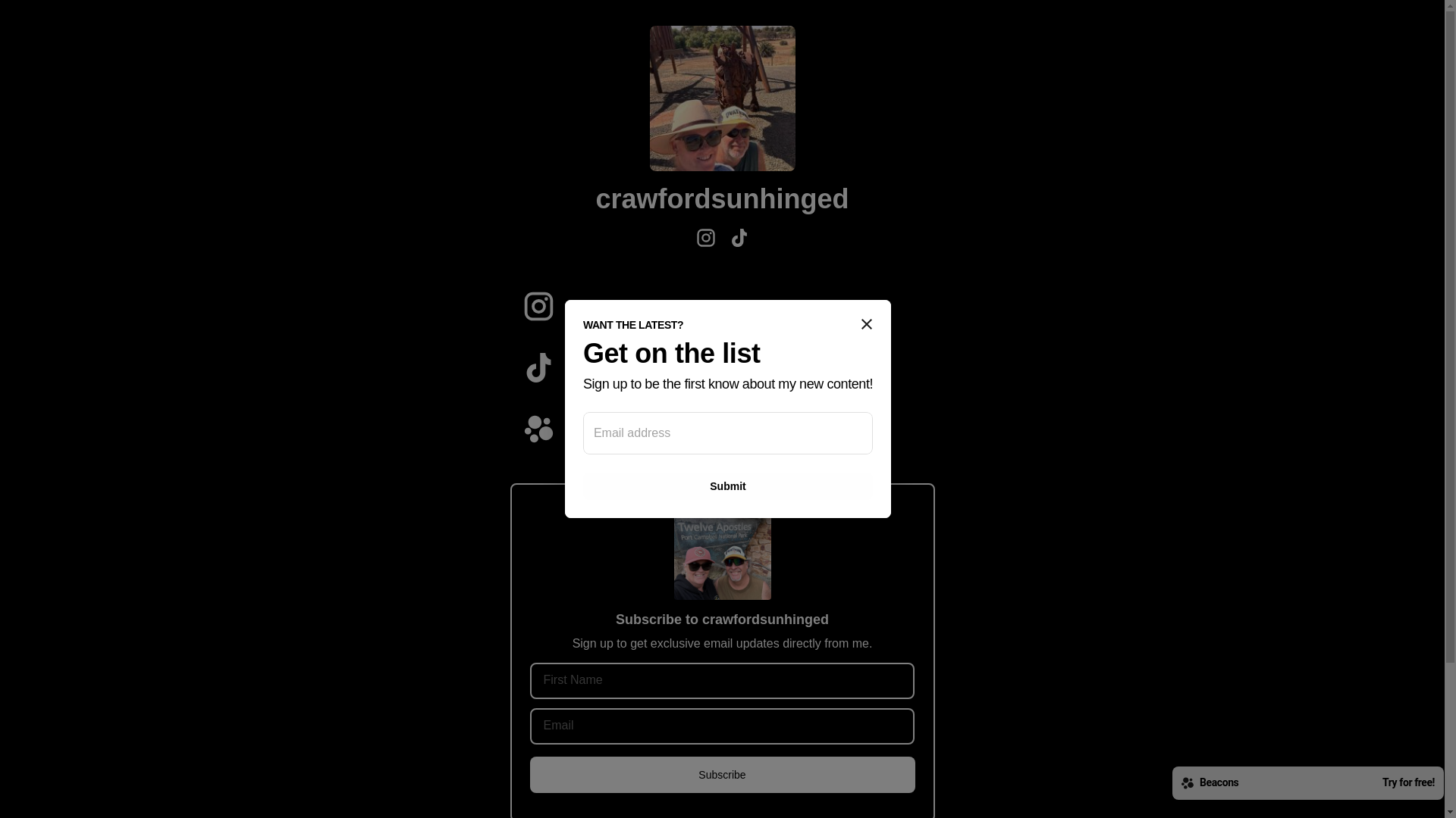 website screenshot of https://crawfordsunhinged.com/
