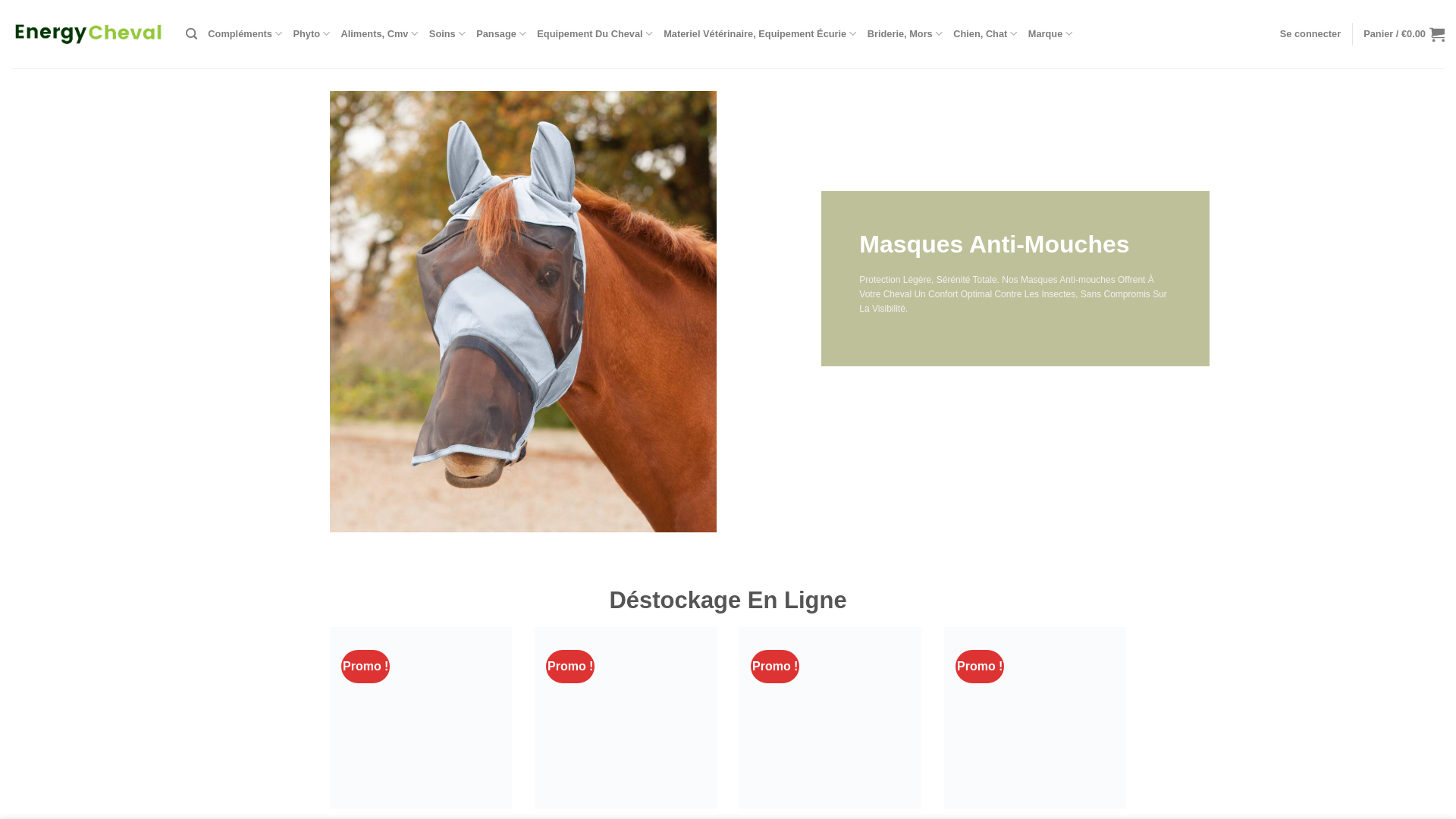 website screenshot of https://energycheval.com/