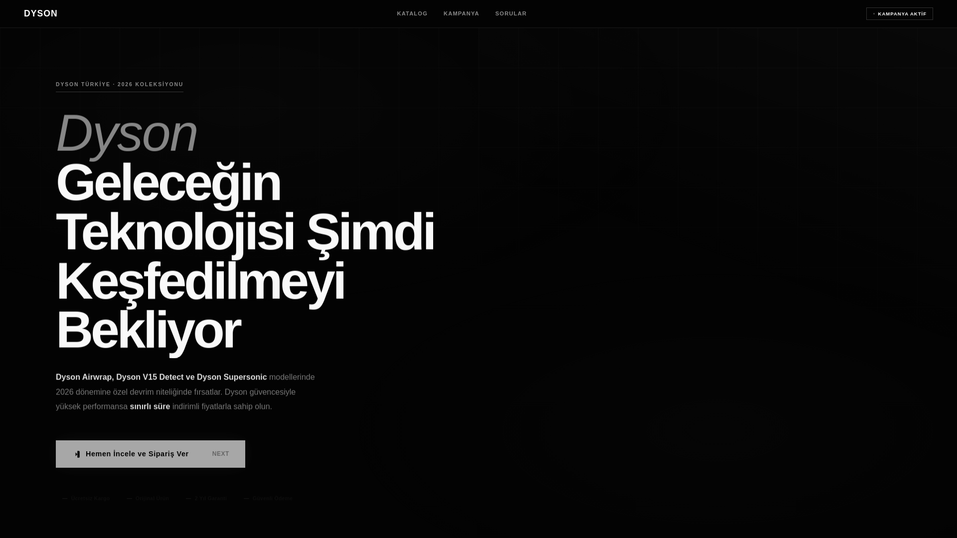website screenshot of https://daysonoriginal.cam/