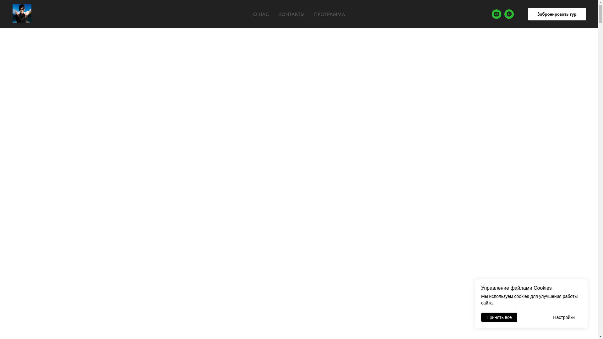 website screenshot of https://costa-rica-hakamada.ru/