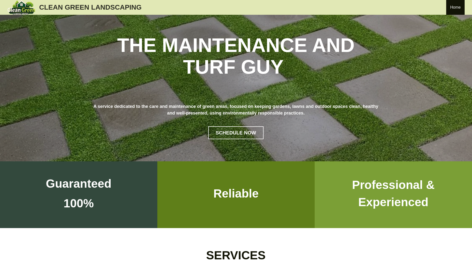 website screenshot of https://cleangreenlandscapingp.com/