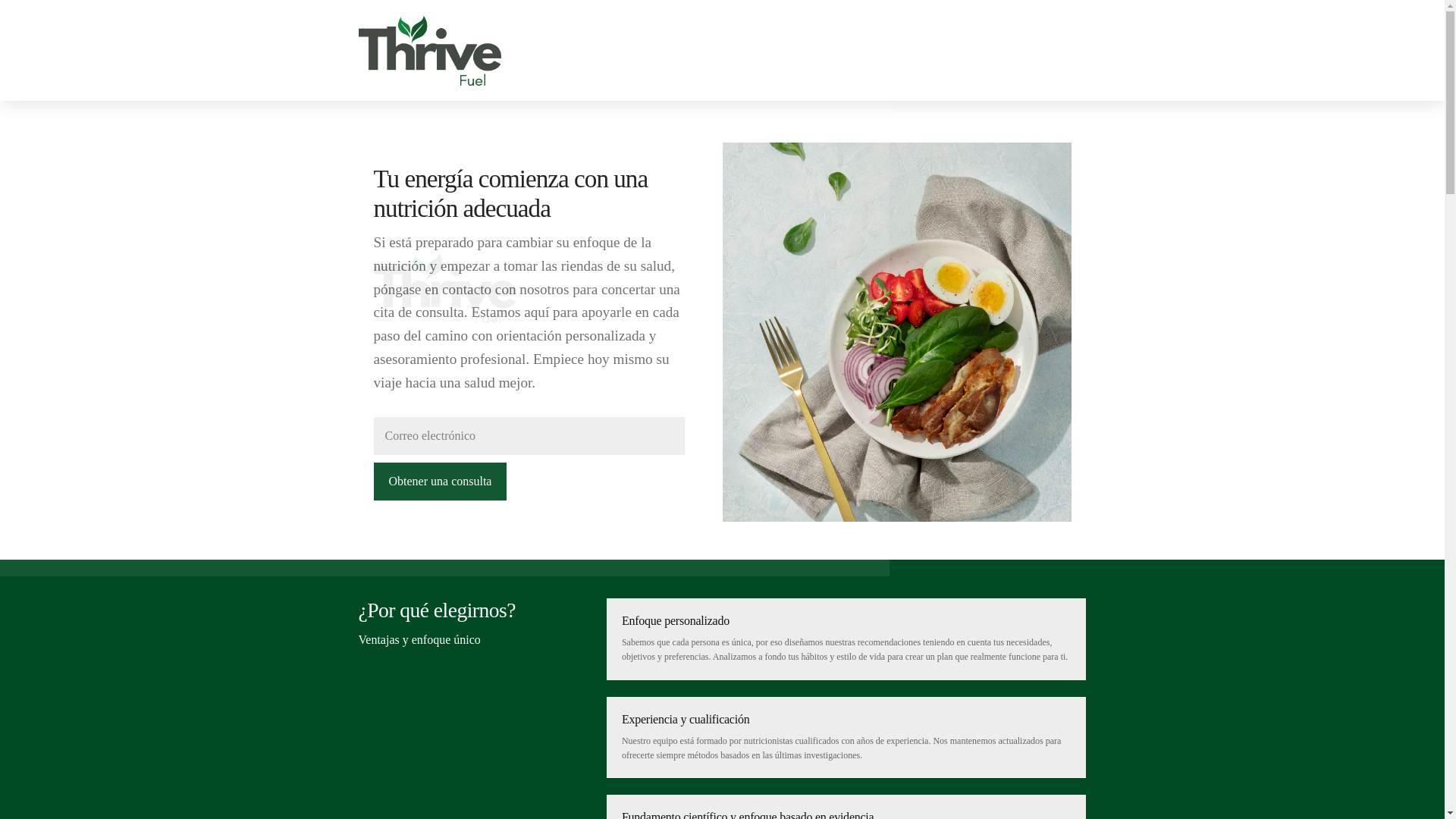 website screenshot of https://thrivefuell.info/