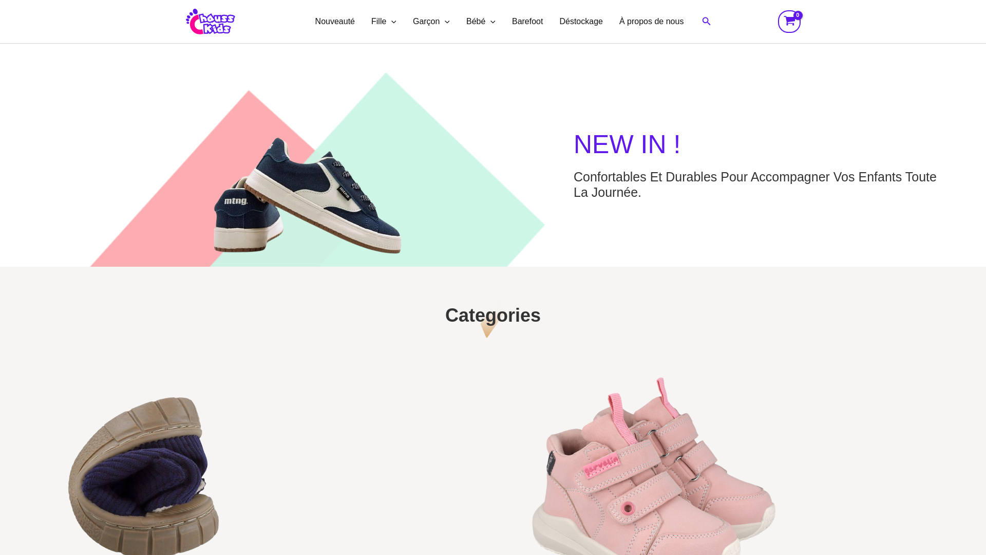 website screenshot of https://chausskids.org/