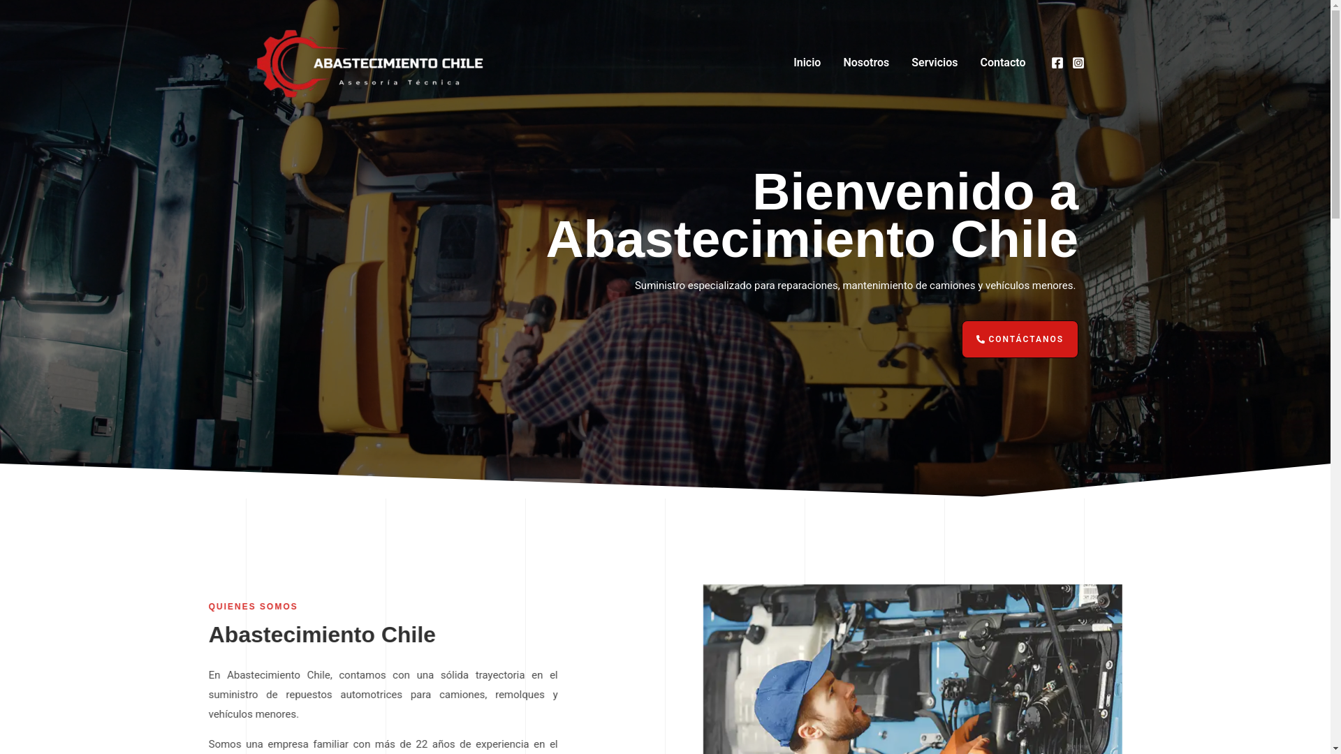 website screenshot of https://mercadodrones.cl/