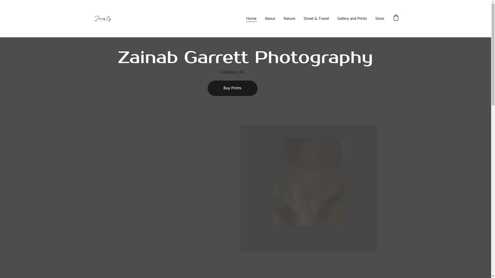 website screenshot of https://zainabgarrettphotography.com/