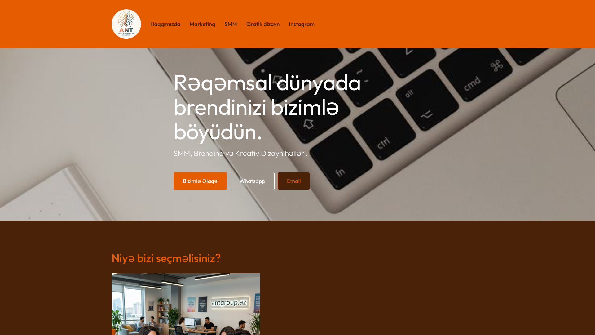 website screenshot of https://antgroupaz.com/