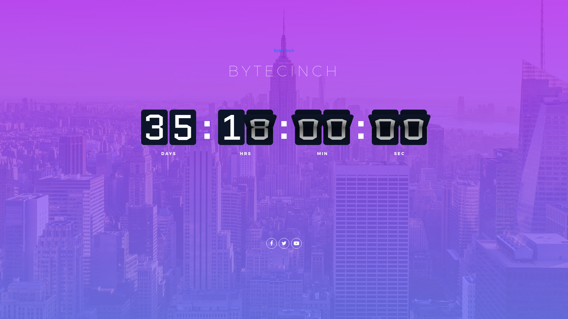 website screenshot of https://bytecinch.com/