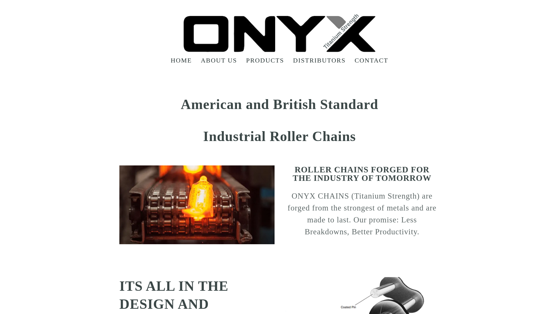 website screenshot of https://onyxchains.org/