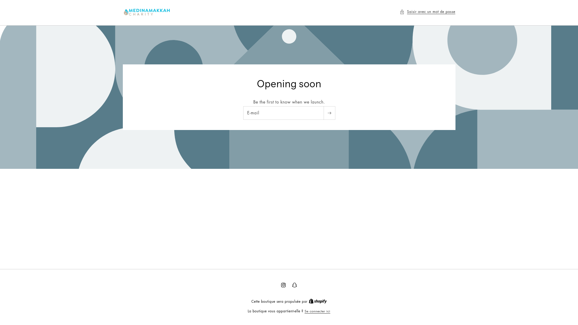 website screenshot of https://medinahservice.com/