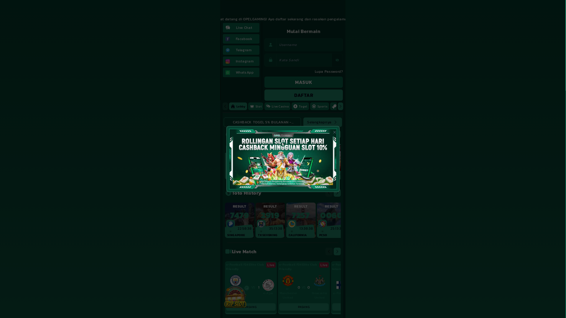website screenshot of https://opelmilenial.com/
