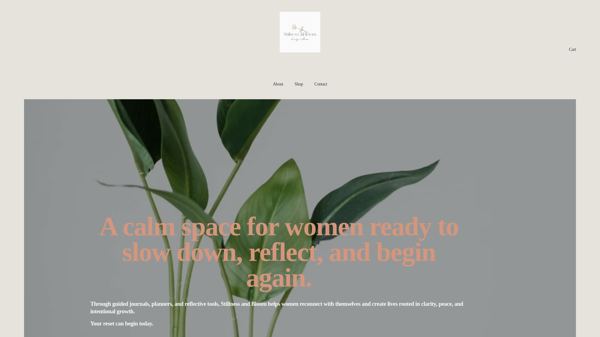 website screenshot of https://stillnessandbloom.com/