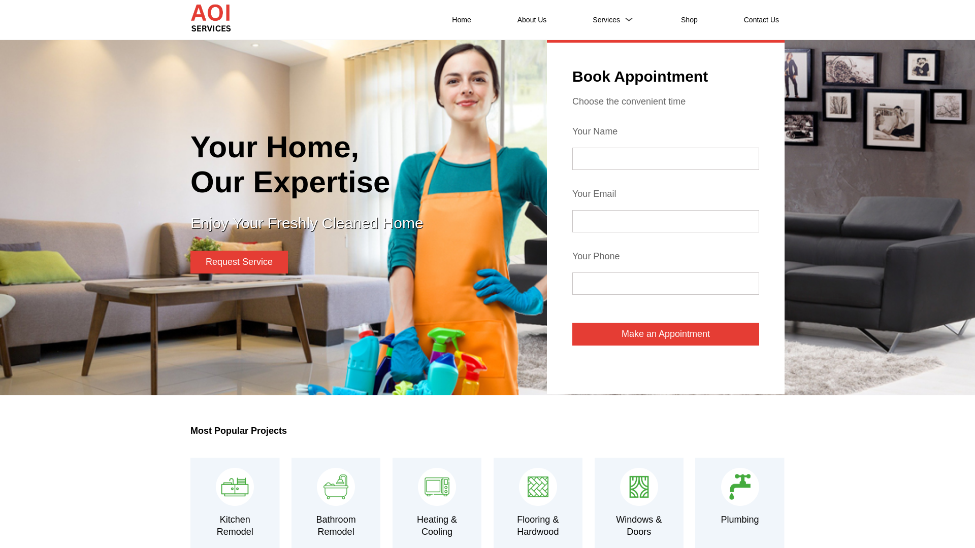 website screenshot of https://aoservices.us