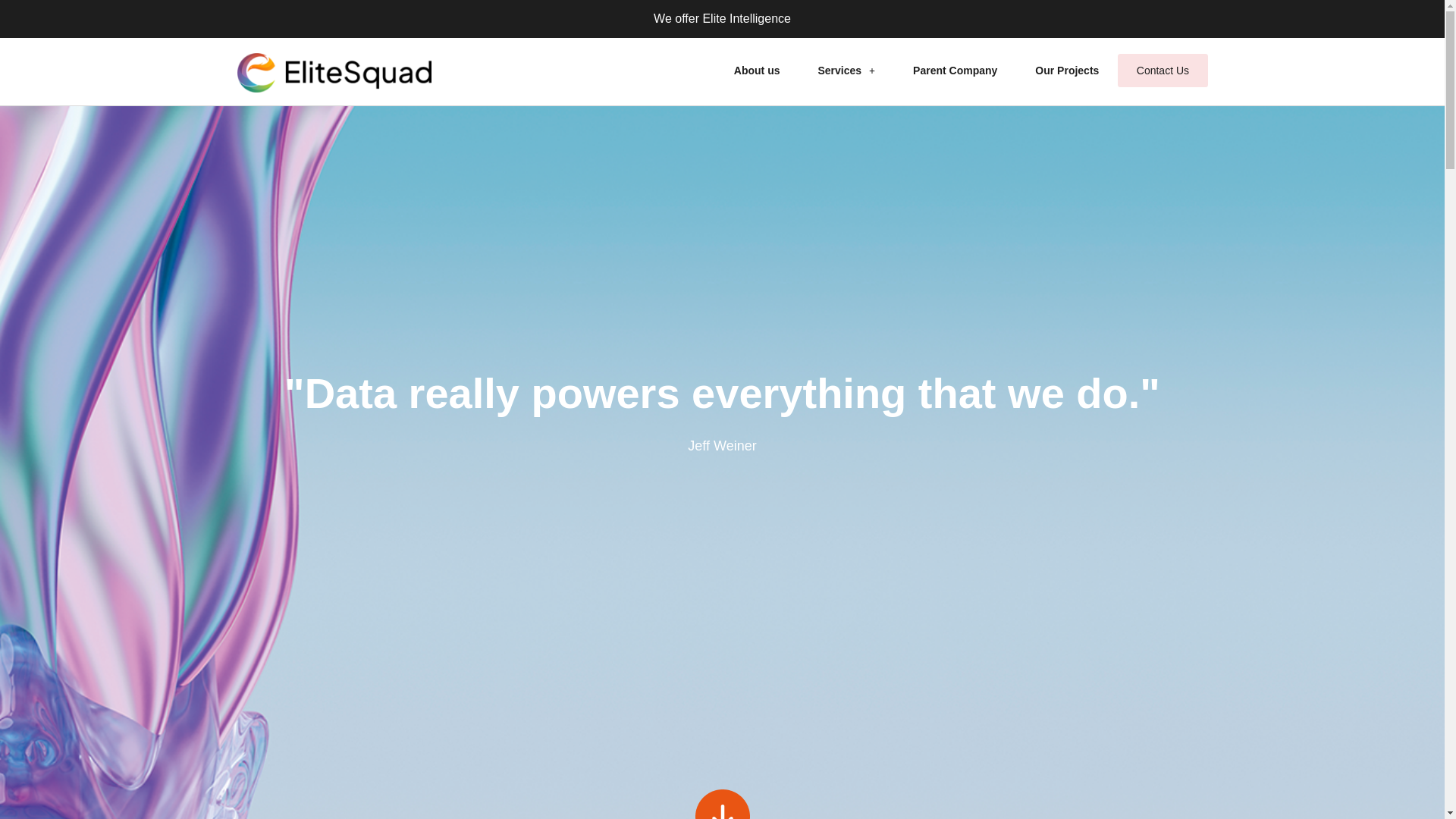 website screenshot of https://scaleelitesquad.com/