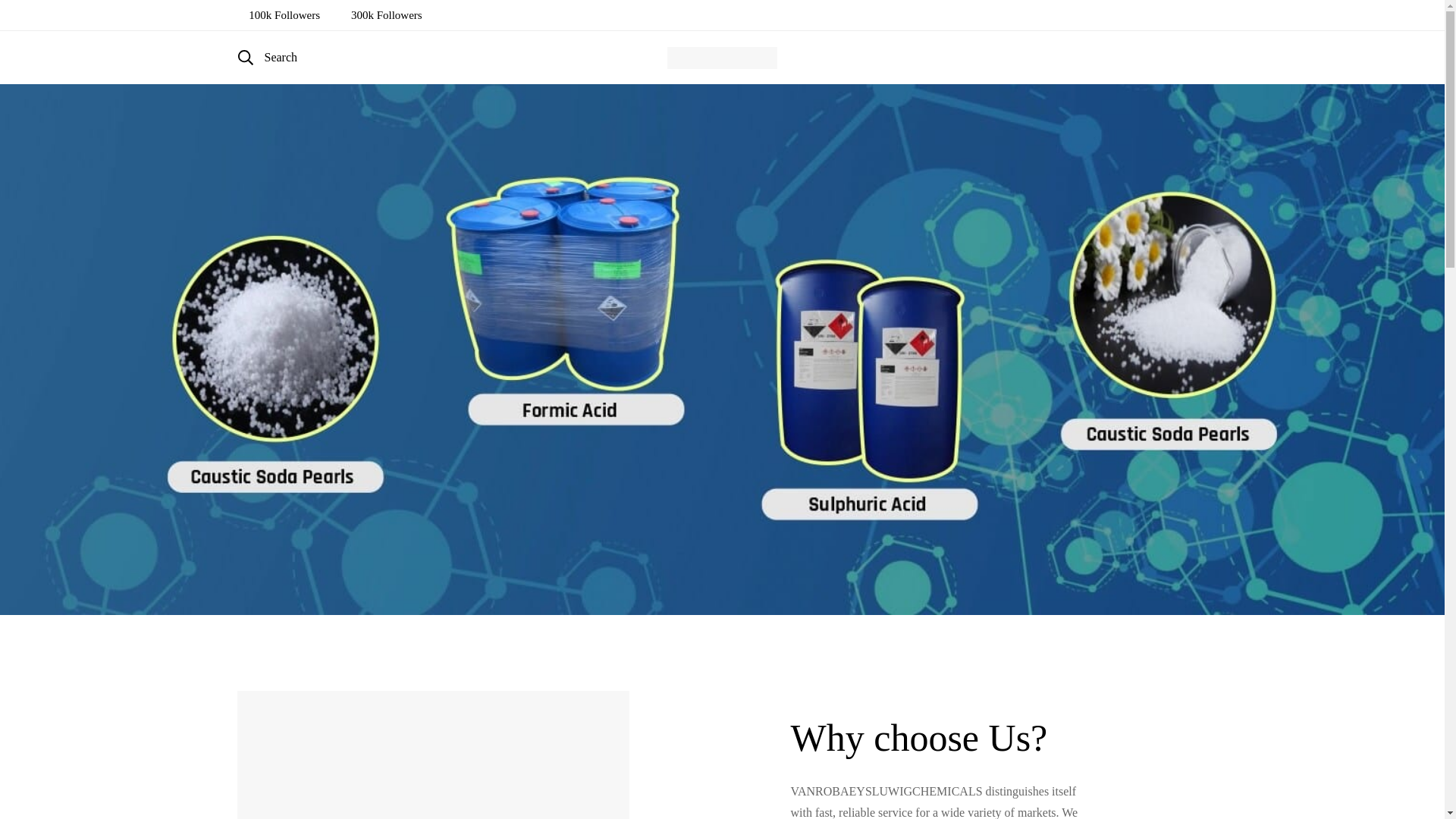 website screenshot of https://vanrobaeyluwigchemicals.com/