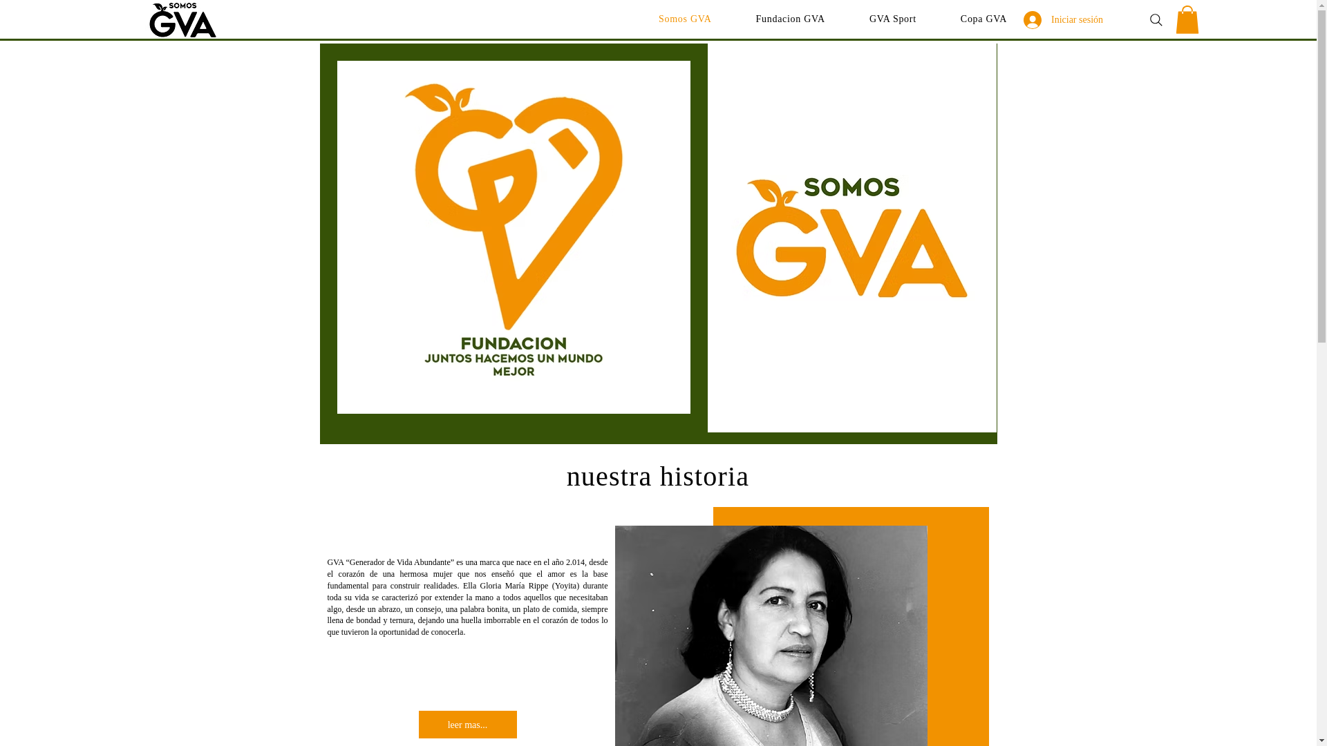 website screenshot of https://somosgva.org/