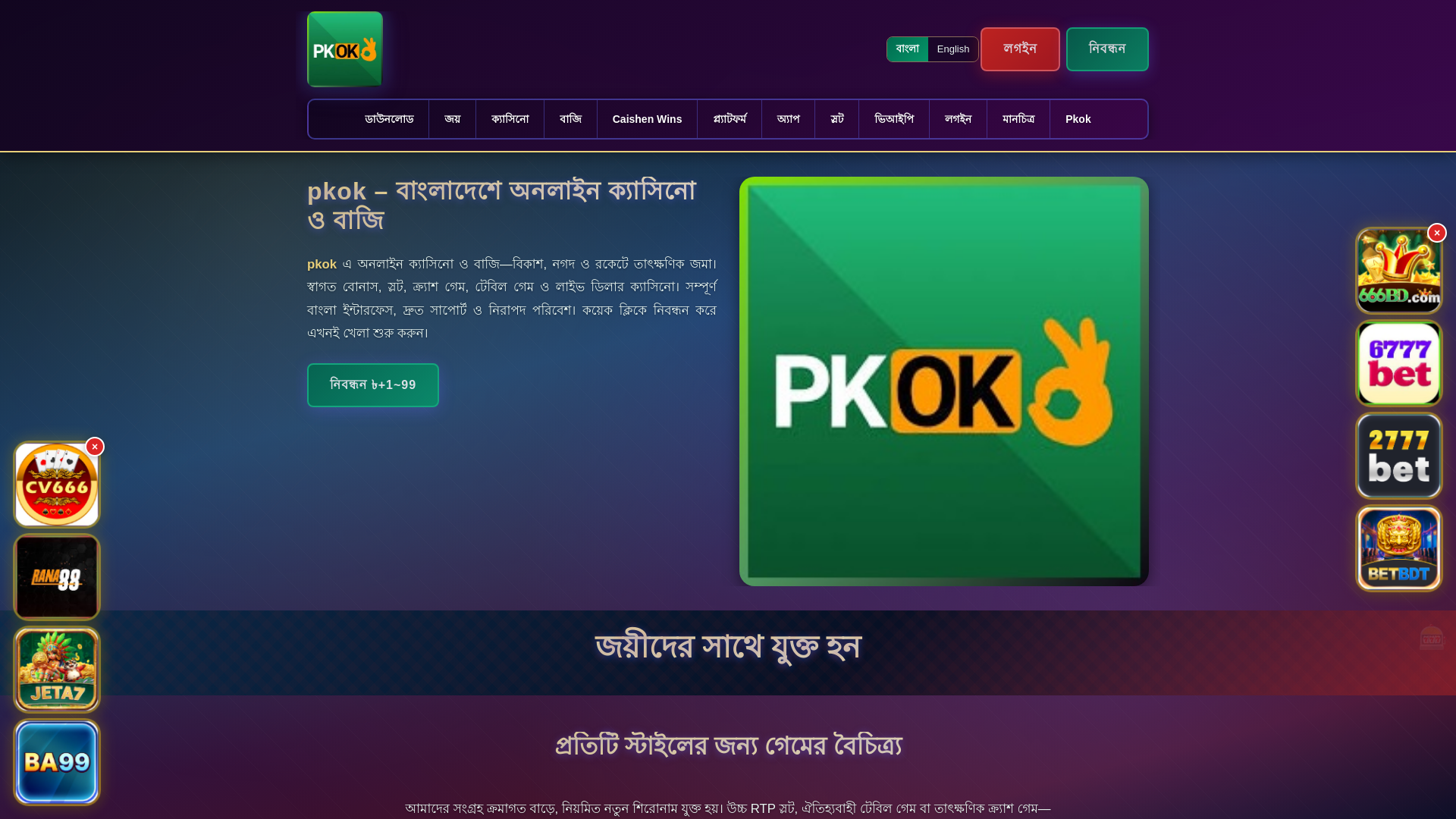 website screenshot of https://pkokek.com/