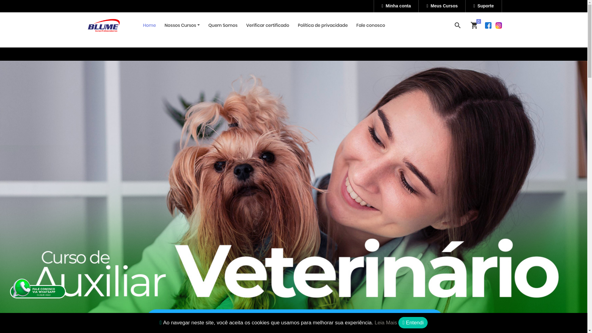 website screenshot of https://blumecursos.inf.br/