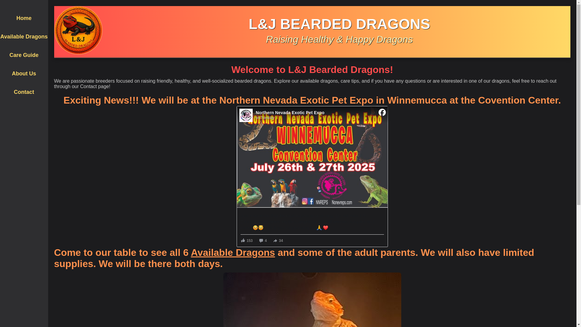 website screenshot of https://ljbeardeddragons.pages.dev/