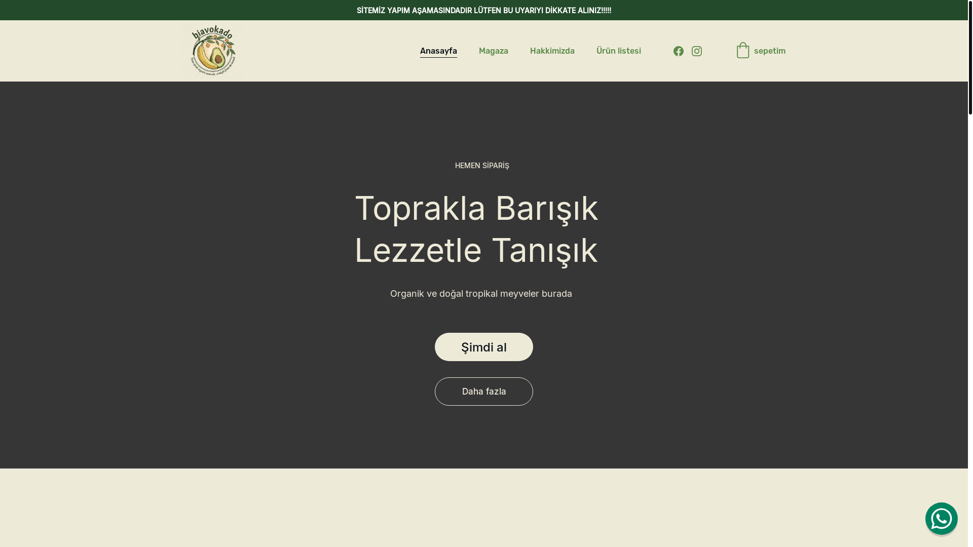 website screenshot of https://biavokado.online/