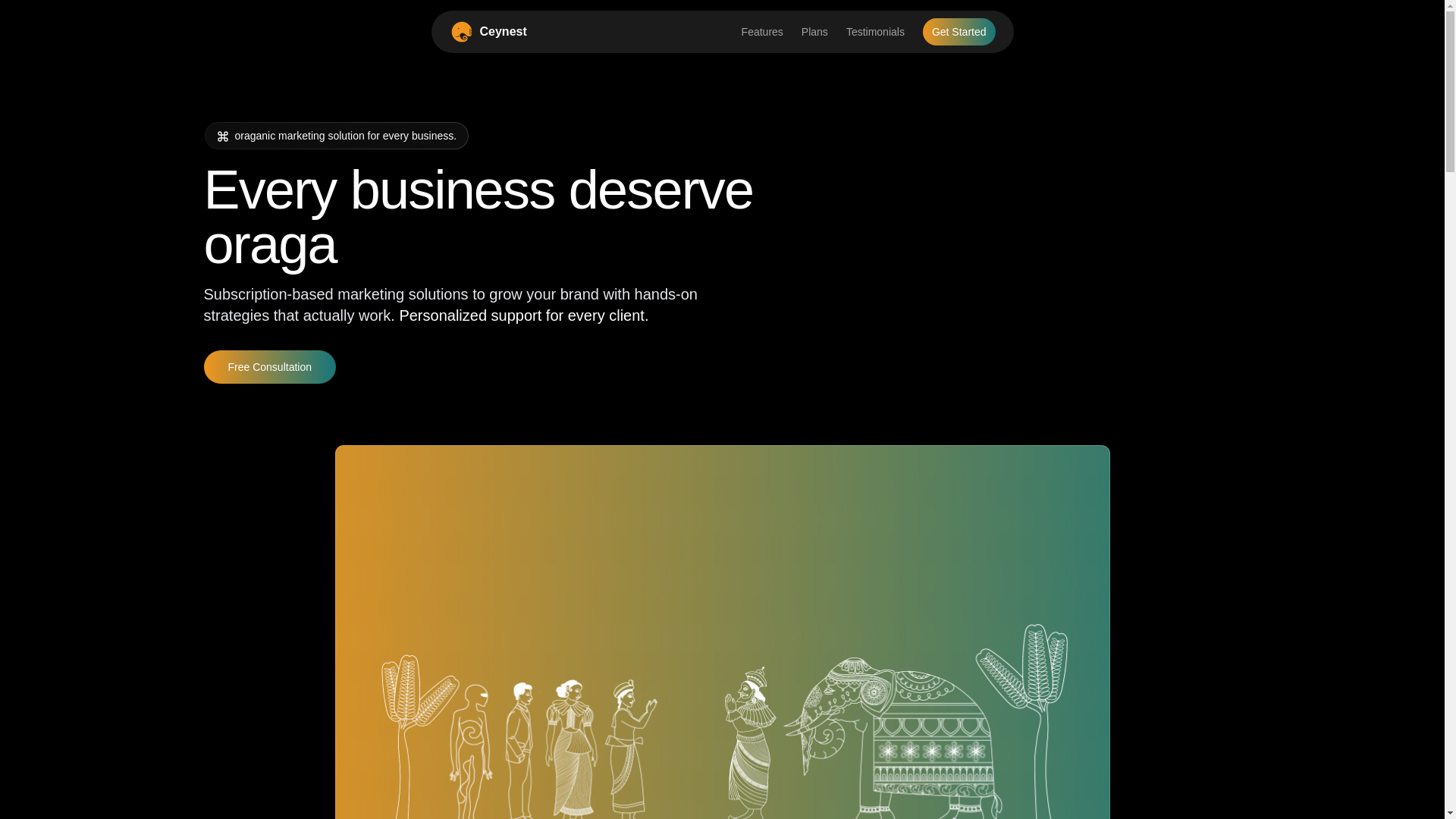 website screenshot of https://ceynest.com/