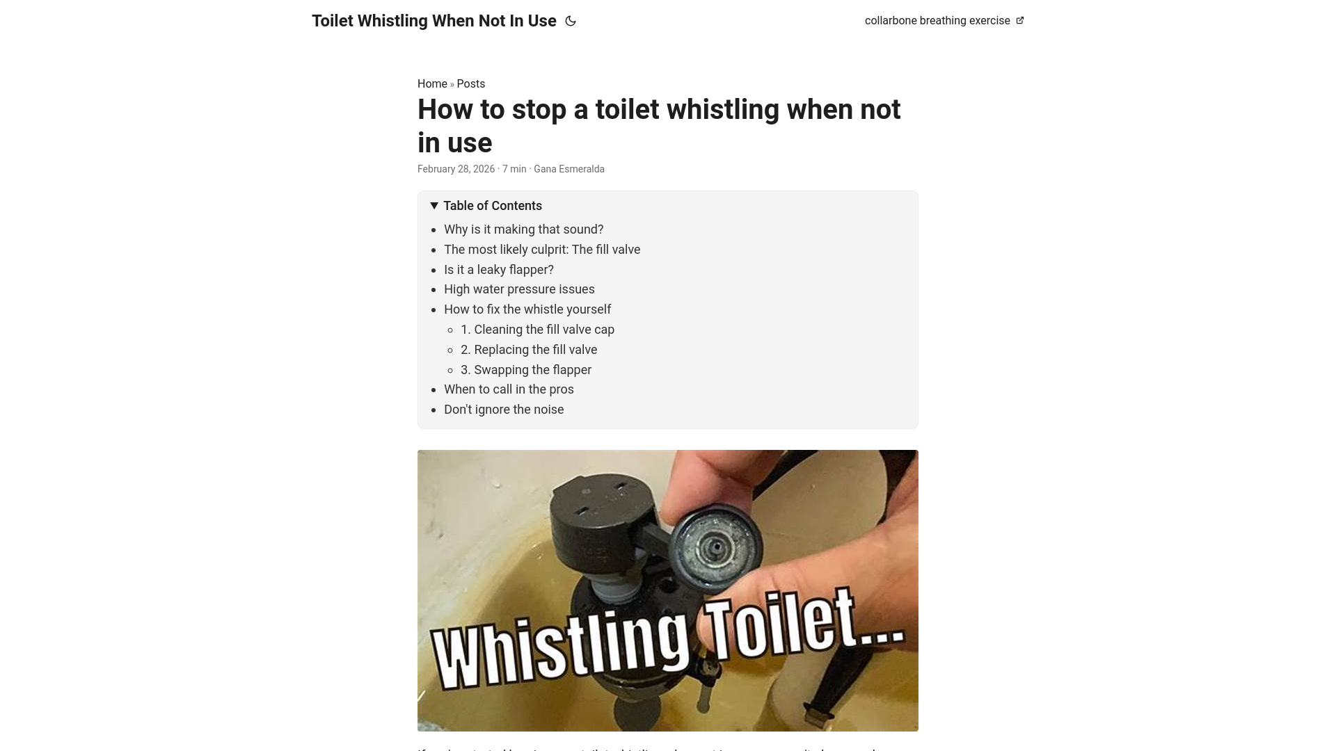 website screenshot of https://toilet-whistling-when-not-in-use.pages.dev/