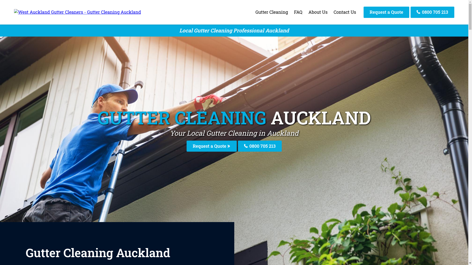 website screenshot of https://westaucklandguttercleaners-co-nz.pages.dev/