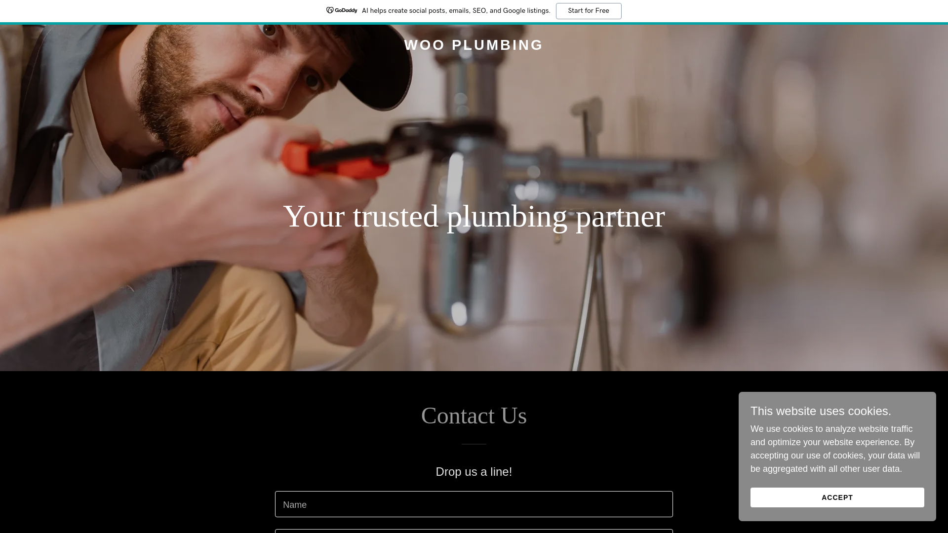 website screenshot of https://wooplumbing.com/