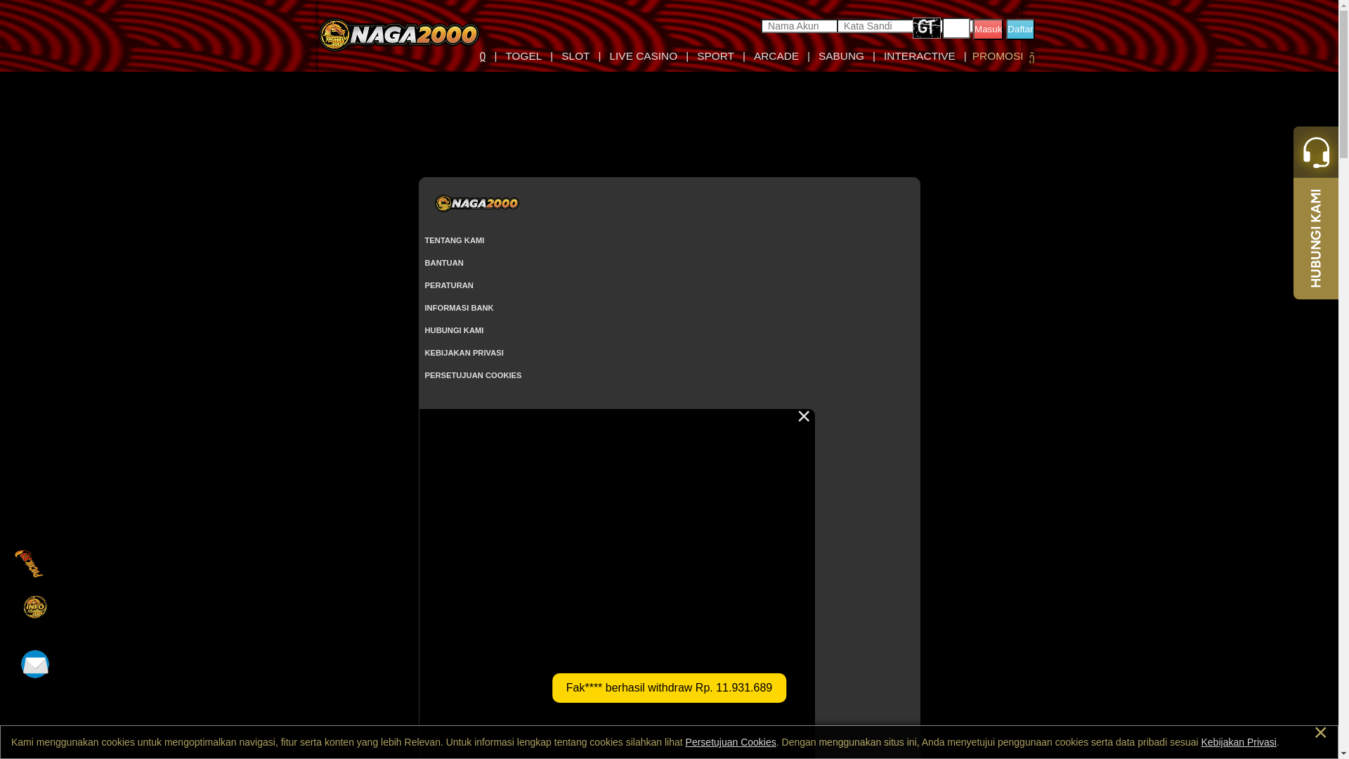 website screenshot of https://naga2000dd.com/