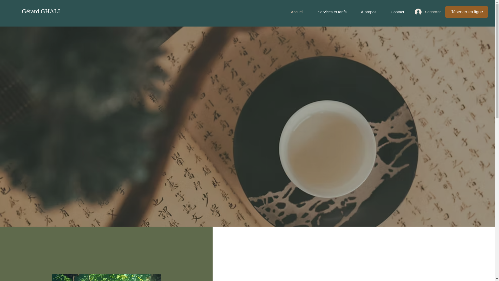website screenshot of https://mtc-gerardghali.com/