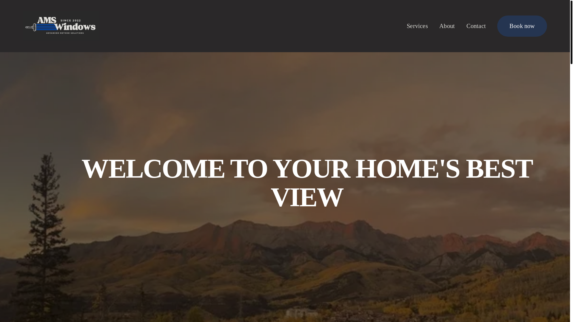website screenshot of https://amswindowwashing.com/