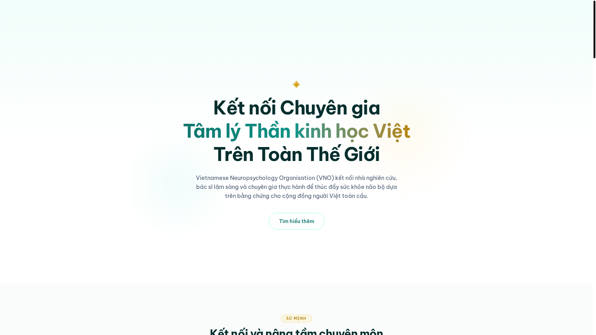 website screenshot of https://vietneuropsy.org/