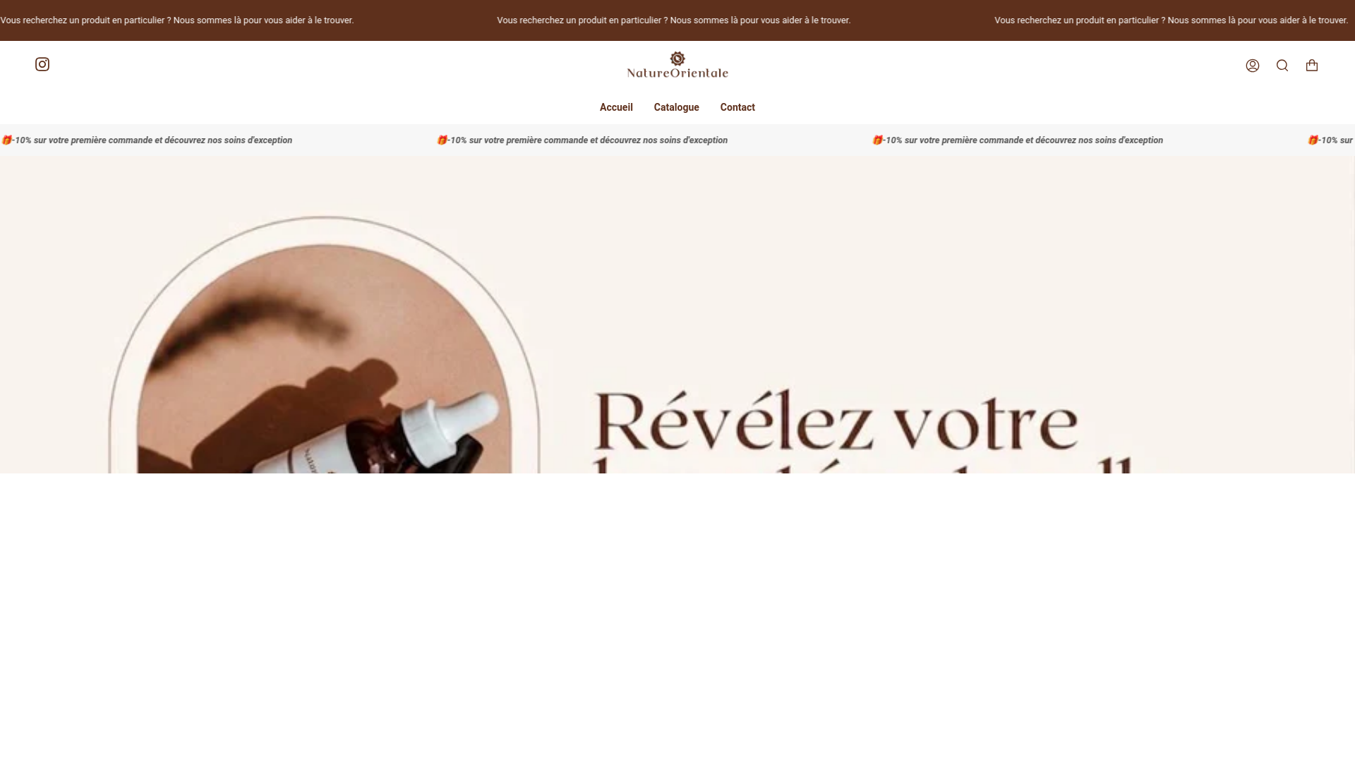 website screenshot of https://natureorientale.shop