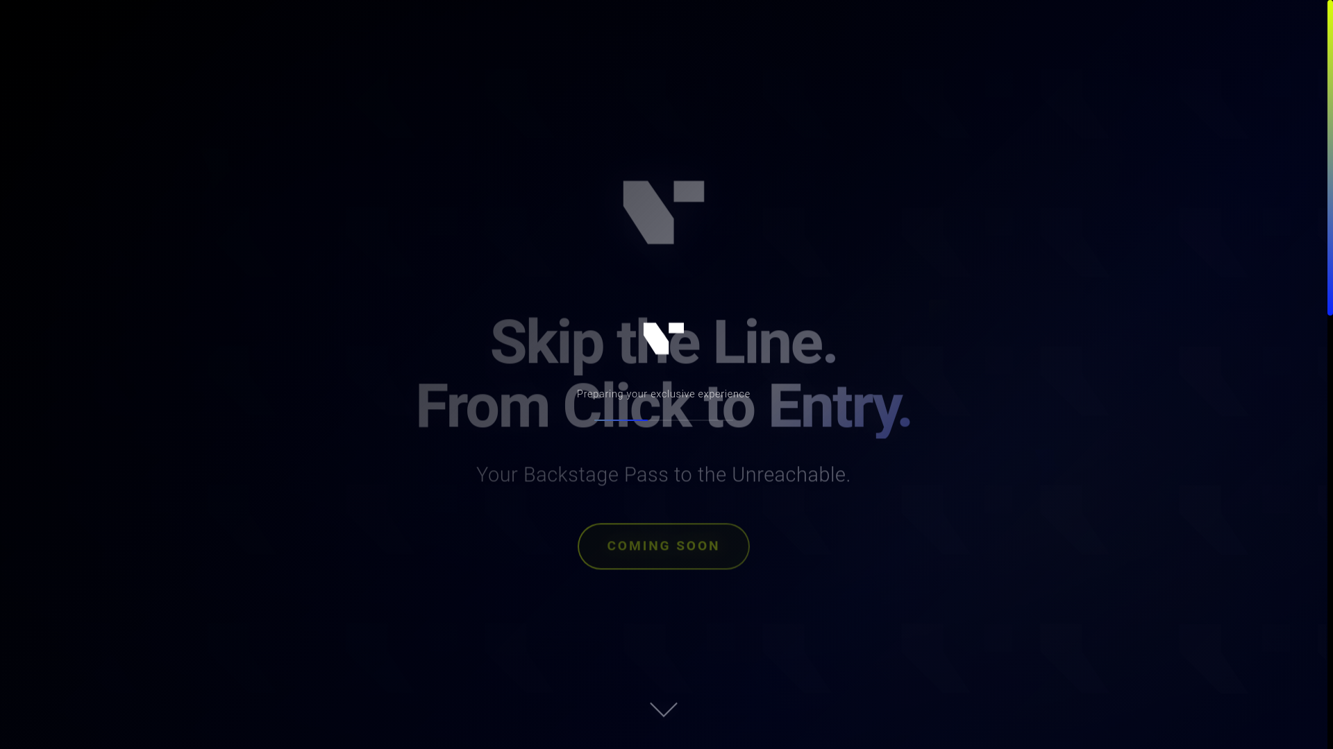 website screenshot of https://ventryticket.com/