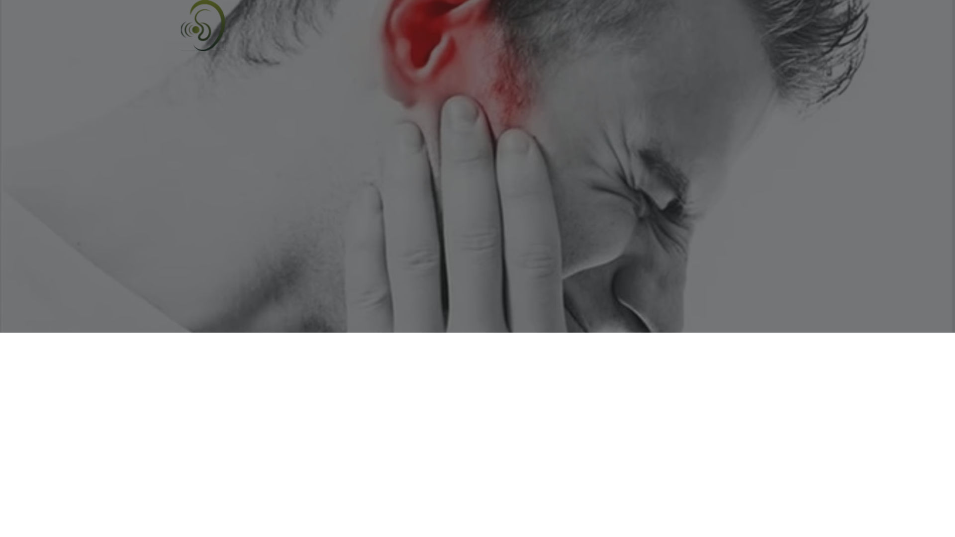 website screenshot of https://echozendrop.com/