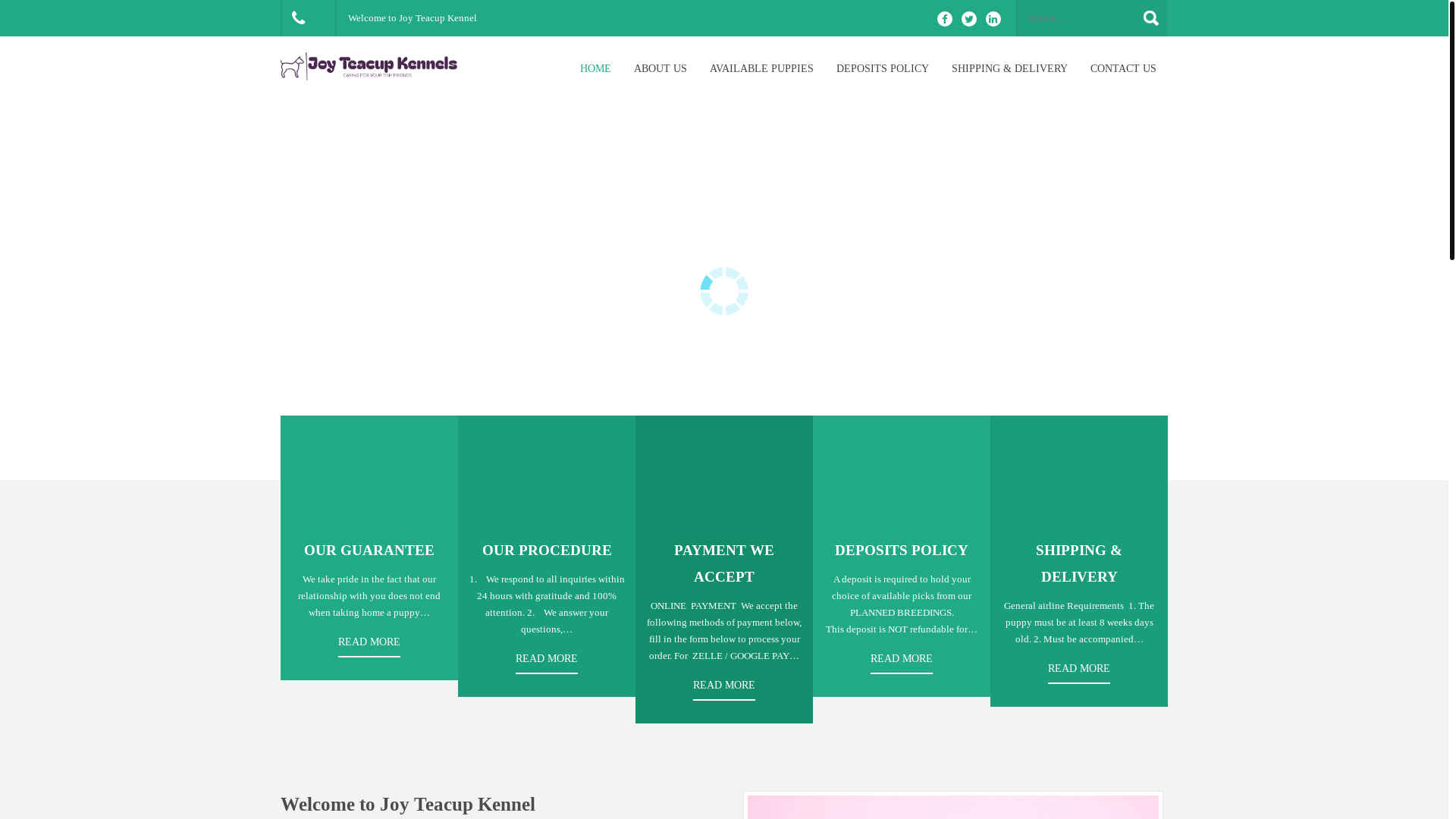 website screenshot of https://joyteacupkennel.online/