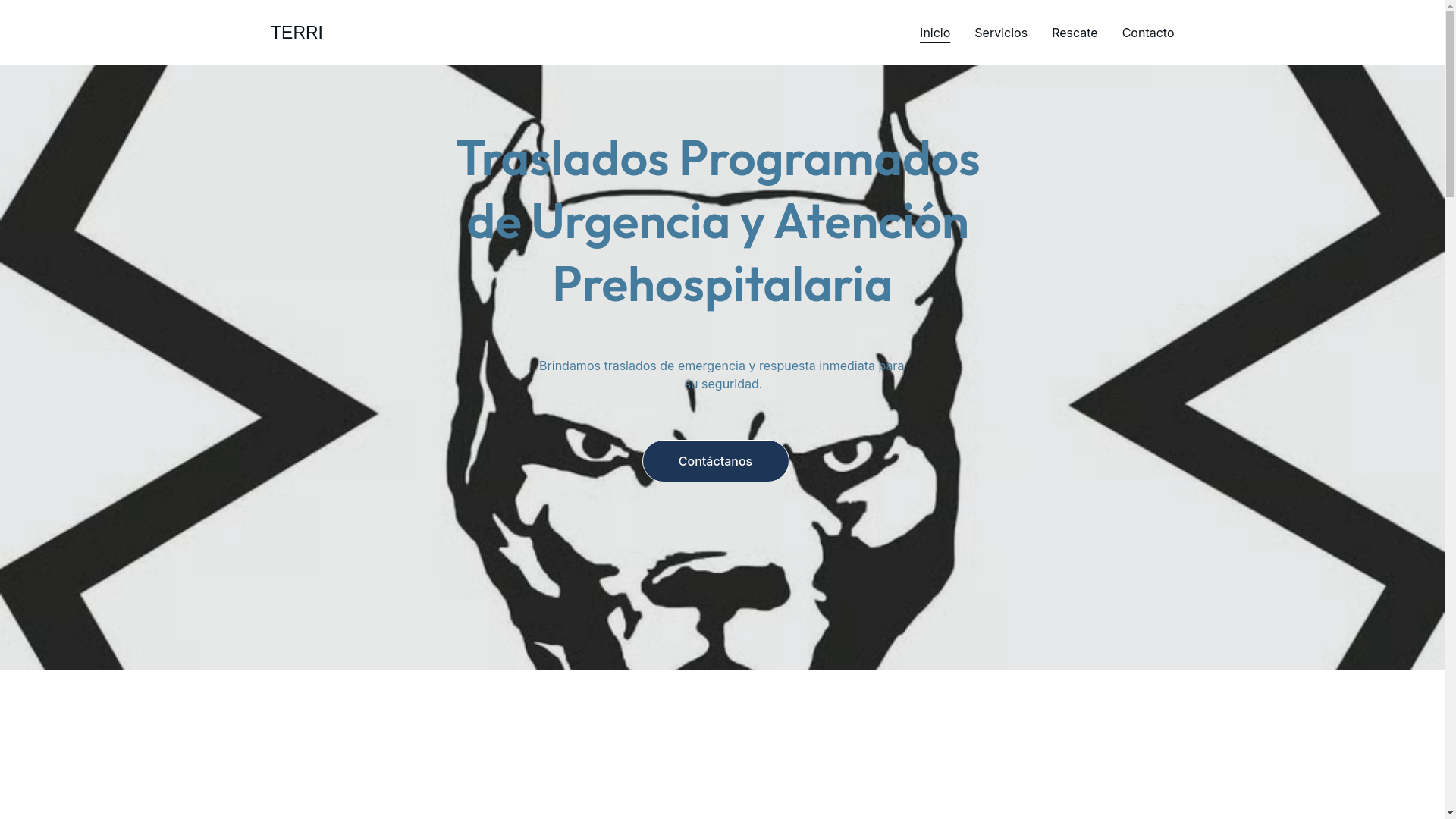 website screenshot of https://ambulanciasterri.site/