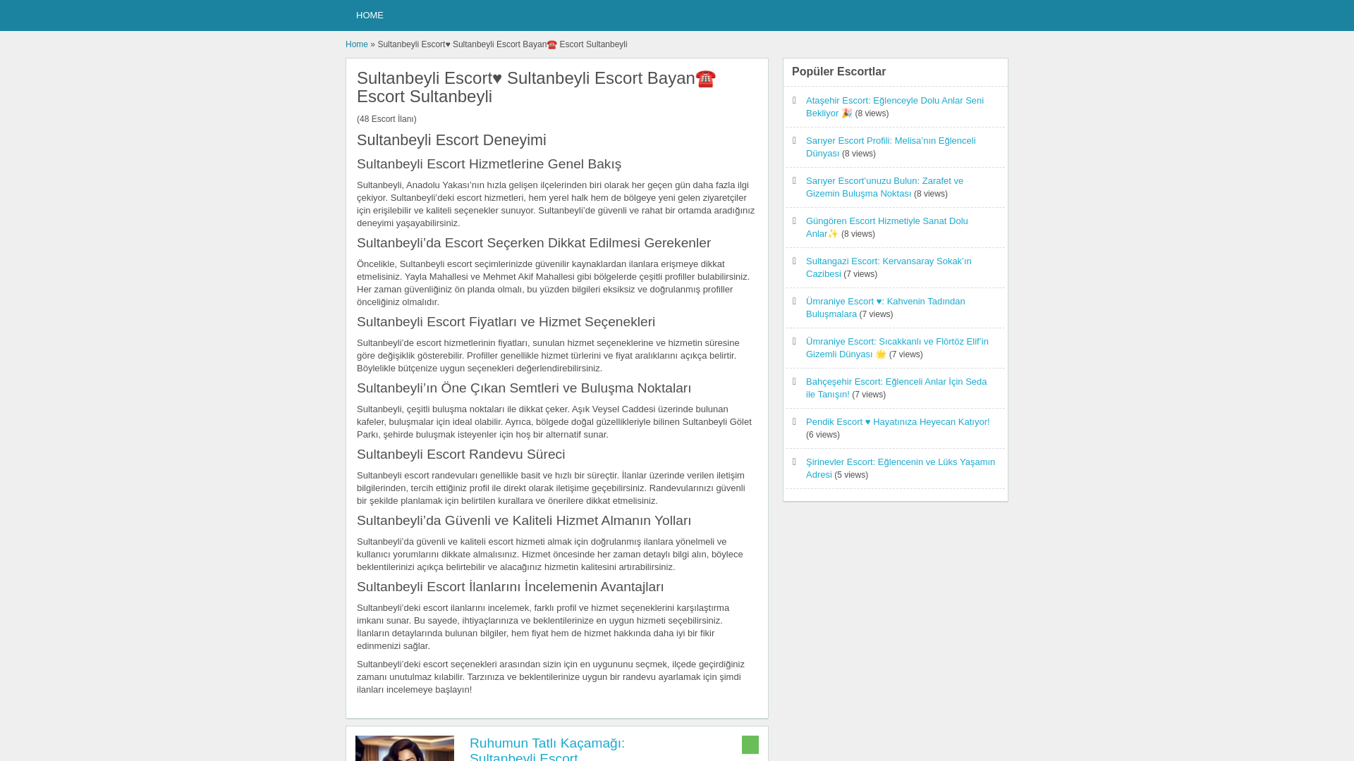 website screenshot of https://sultanbeyliescort2.website/