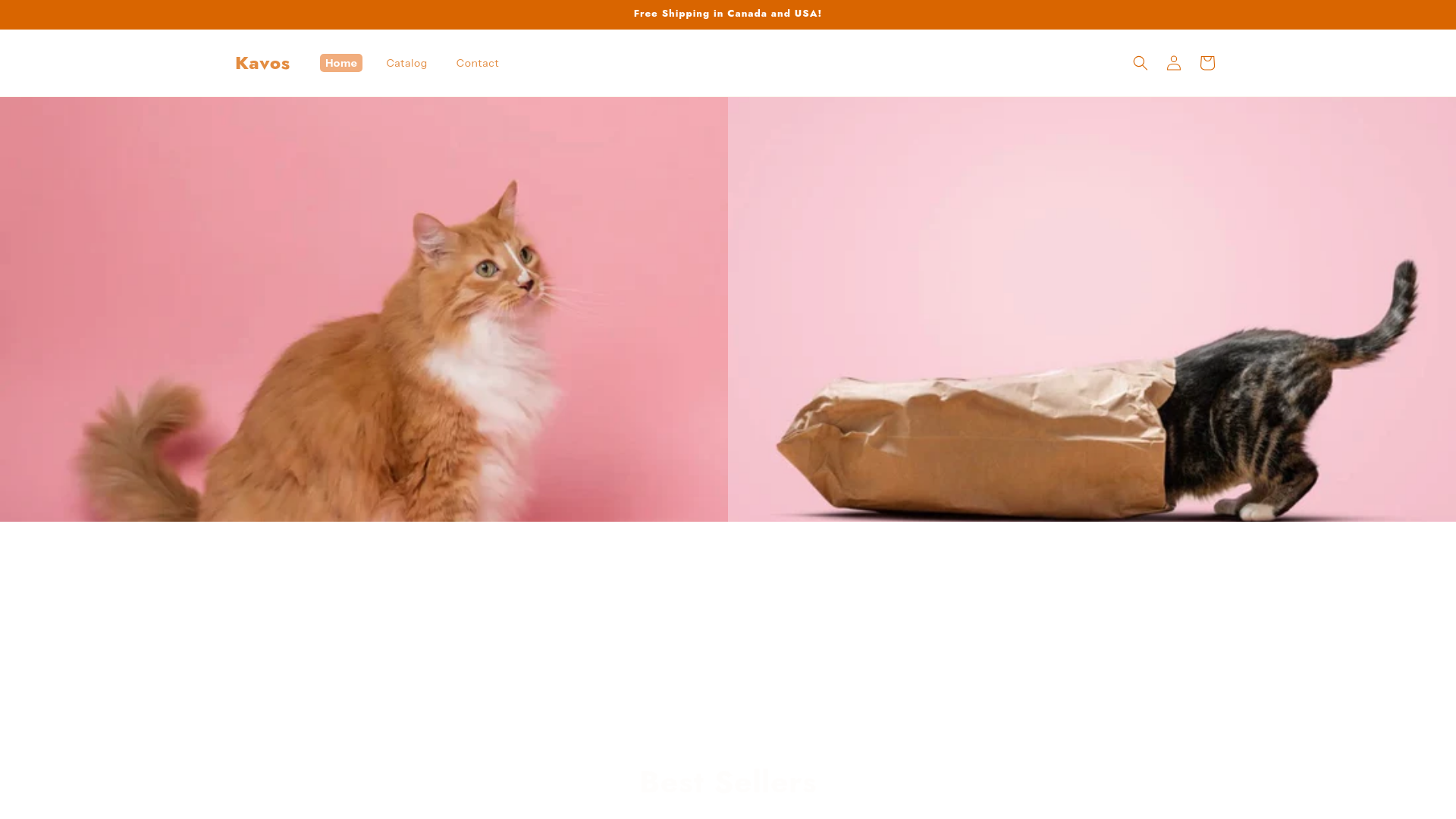 website screenshot of https://kavospets.com/