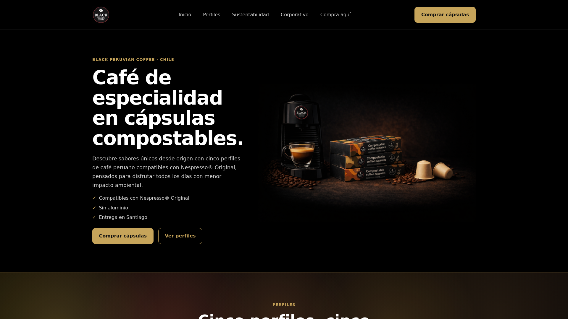 website screenshot of https://cafeblack.cl/